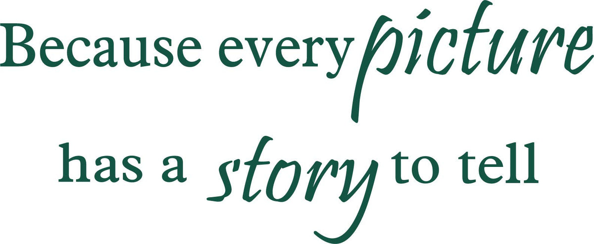 Decaltor Every Picture Story Quote Wall Decal