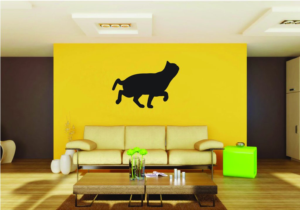 Picniva Exotic Shorthair Cat Style 7 Removable Vinyl Wall Decal