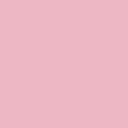 429---Carnation-Pink