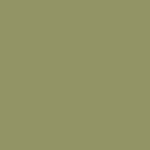 493---Olive