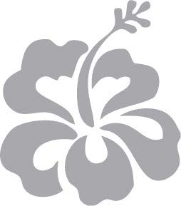 Decaltor Hawaiian Hibiscus Flower Vinyl Decal, 5 in square