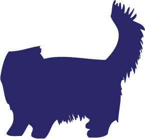 Decaltor Persian 5 in Vinyl Decal for Laptop Bumper Wall