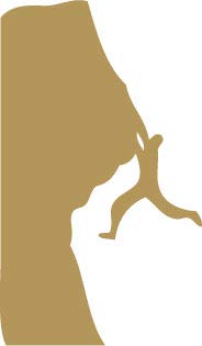 Decaltor Rock Climber - Laptop Stickers - 5" Vinyl Decal -Funny Laptop, Phone, Tablet Vinyl Decal Sticker,Bumper Sticker