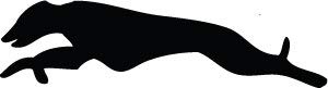 Decaltor Running Greyhound Dog Vinyl Decal for Car Window Laptop