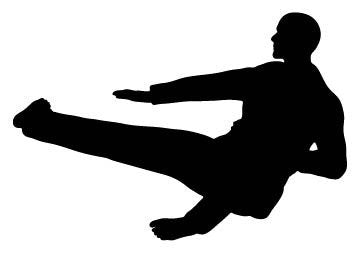 Picniva Fighting Sport Type 4 Removable Vinyl Wall Decal