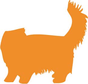Decaltor Persian 5 in Vinyl Decal for Laptop Bumper Wall