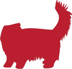 Decaltor Persian 5 in Vinyl Decal for Laptop Bumper Wall