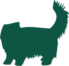Decaltor Persian 5 in Vinyl Decal for Laptop Bumper Wall
