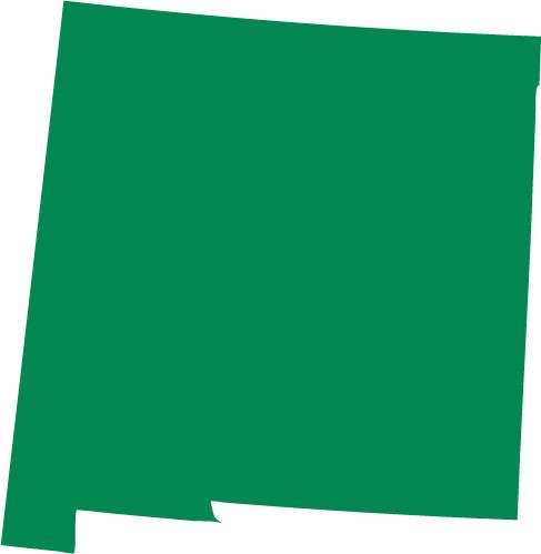 Picniva Green New Mexico NM 3 Inch Map Vinyl Car Decal Sticker Vehicle Auto - Color: green - Size: 3 inches