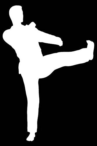 Picniva Martial Arts Fighter Sty97 Vinyl Car Window Decal, Approx 5 in