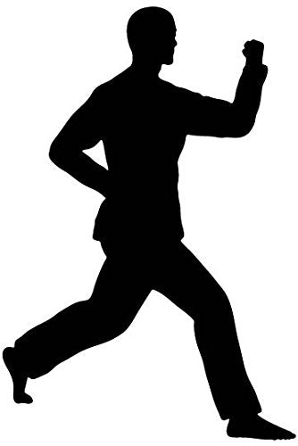 Picniva Fighting Sport Type 49 Removable Vinyl Wall Decal
