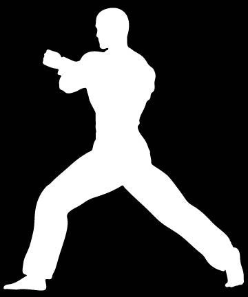 Picniva Martial Arts Fighter Sty55 Vinyl Car Window Decal, Approx 5 in