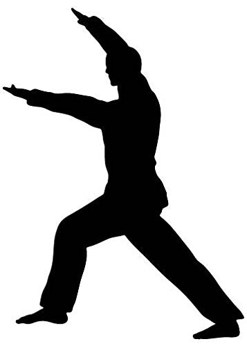 Picniva Fighting Sport Style 54 Removable Vinyl Wall Decal