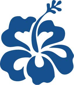 Decaltor Hawaiian Hibiscus Flower Vinyl Decal, 5 in square