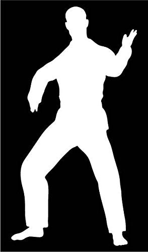 Picniva Martial Arts Fighter Type35 Vinyl Car Window Decal, Approx 5 in