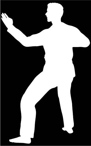 Picniva Martial Arts Fighter Type34 Vinyl Car Window Decal, Approx 5 in