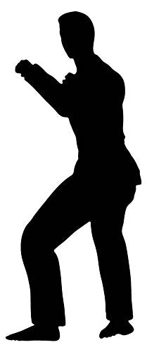 Picniva Fighting Sport Type 31 Removable Vinyl Wall Decal