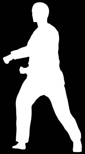 Picniva Martial Arts Fighter Sty58 Vinyl Car Window Decal, Approx 5 in