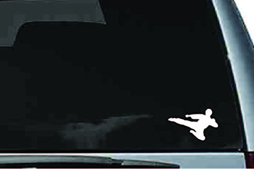 Picniva Martial Arts Fighter Sty3 Vinyl Car Window Decal, Approx 5 in