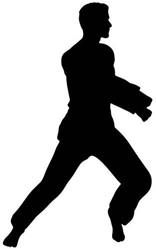 Picniva Fighting Sport Style 67 Removable Vinyl Wall Decal