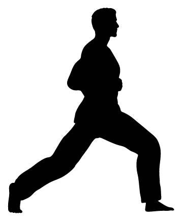 Picniva Fighting Sport Style 165 Removable Vinyl Wall Decal