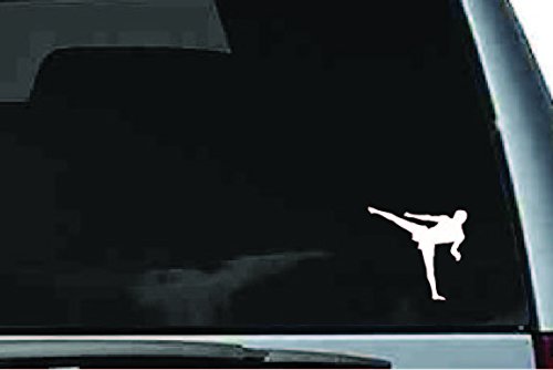 Picniva Martial Arts Fighter Sty5 Vinyl Car Window Decal, Approx 5 in