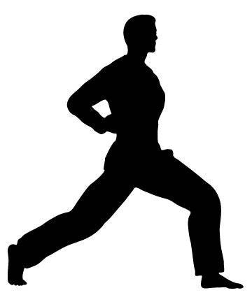 Picniva Fighting Sport Style 164 Removable Vinyl Wall Decal