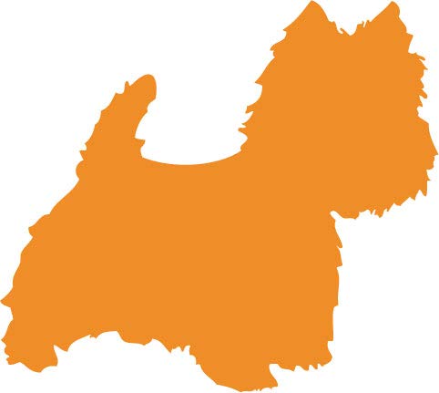 Decaltor Westie Dog Vinyl Decal, 5 in, Car Window Sticker