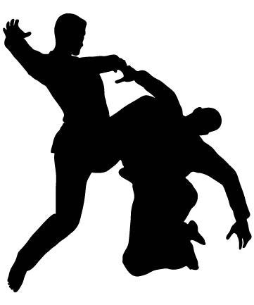 Picniva Fighting Sport Type 26 Removable Vinyl Wall Decal