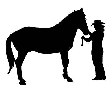 Picniva Cowgirl Style 11 Removable Vinyl Wall Decal - Color: cowgirl style 11