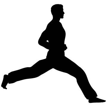Picniva Fighting Sport Style 180 Removable Vinyl Wall Decal