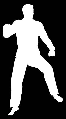 Picniva Martial Arts Fighter Sty126 Vinyl Car Window Decal, Approx 5 in