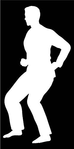Picniva Martial Arts Fighter Type40 Vinyl Car Window Decal, Approx 5 in