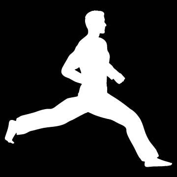 Picniva Martial Arts Fighter Sty179 Vinyl Car Window Decal, Approx 5 in