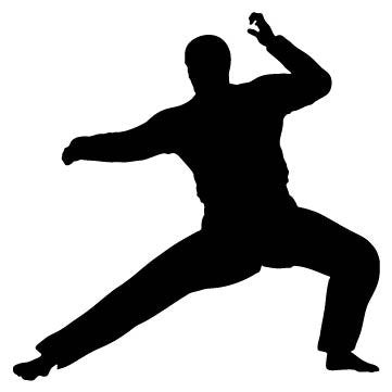 Picniva Fighting Sport Type 6 Removable Vinyl Wall Decal