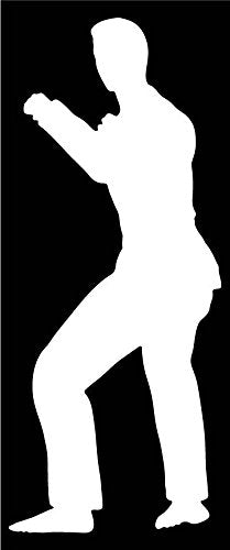 Picniva Martial Arts Fighter Type31 Vinyl Car Window Decal, Approx 5 in