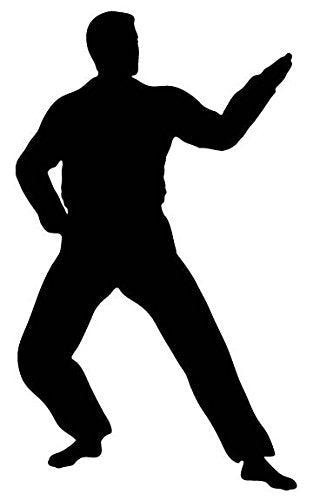 Picniva Fighting Sport Style 66 Removable Vinyl Wall Decal
