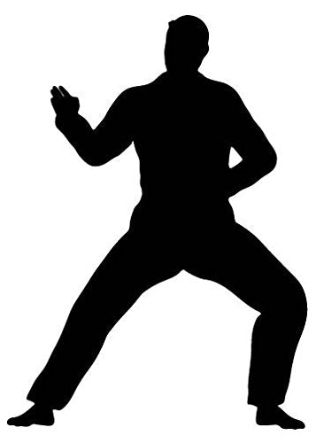 Picniva Martial Artist Horse Stance Removable Vinyl Wall Decal