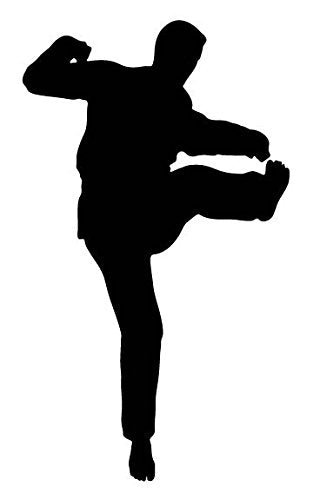 Picniva Fighting Sport Style 79 Removable Vinyl Wall Decal