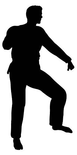 Picniva Fighting Sport Style 127 Removable Vinyl Wall Decal