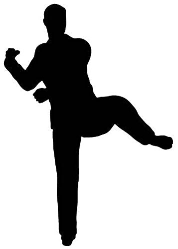 Picniva Fighting Sport Style 142 Removable Vinyl Wall Decal