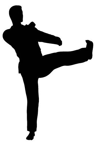 Picniva Fighting Sport Style 97 Removable Vinyl Wall Decal