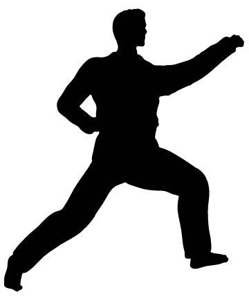 Picniva Fighting Sport Style 169 Removable Vinyl Wall Decal