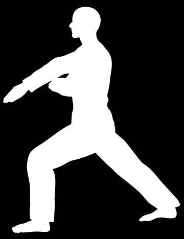 Picniva Martial Arts Fighter Sty60 Vinyl Car Window Decal, Approx 5 in