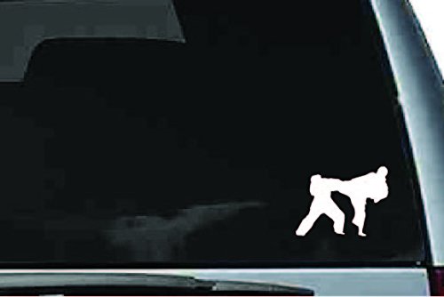 Picniva Martial Arts Fighter Sty221 Vinyl Car Window Decal, Approx 5 in