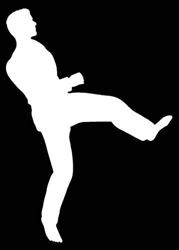 Picniva Martial Arts Fighter Sty115 Vinyl Car Window Decal, Approx 5 in