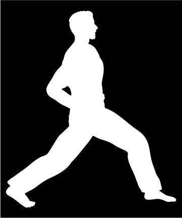 Picniva Martial Arts Fighter Type38 Vinyl Car Window Decal, Approx 5 in