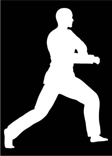 Picniva Martial Arts Fighter Type50 Vinyl Car Window Decal, Approx 5 in