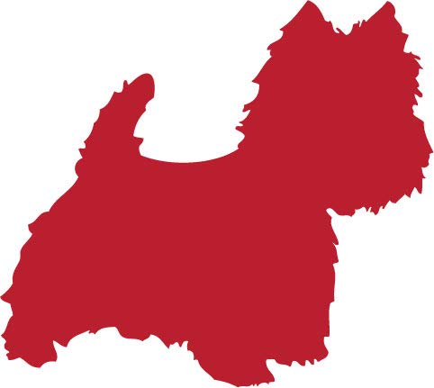 Decaltor Westie Dog Vinyl Decal, 5 in, Car Window Sticker