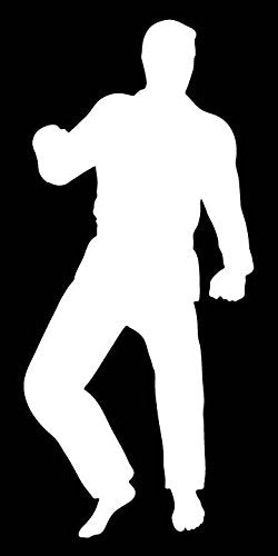 Picniva Martial Arts Fighter Sty124 Vinyl Car Window Decal, Approx 5 in